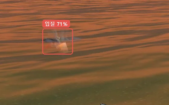 주황빛 노을 물 위에서 입질을 71%로 감지